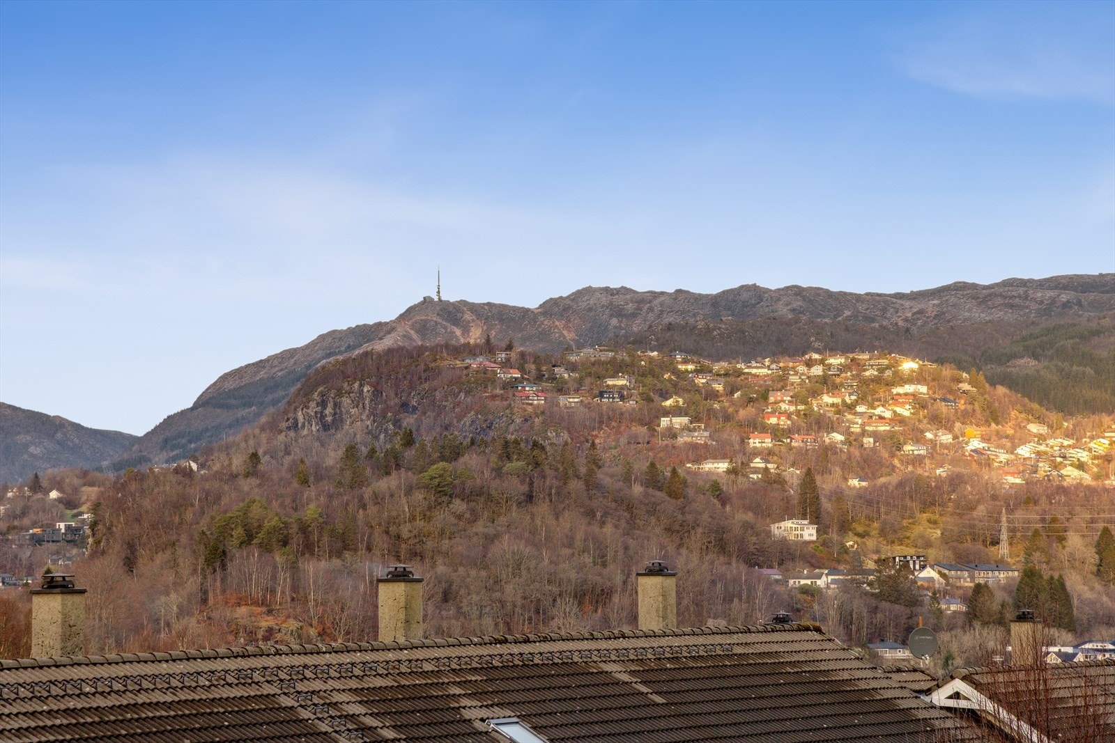 Utsikt mot Ulriken. Galleribilde