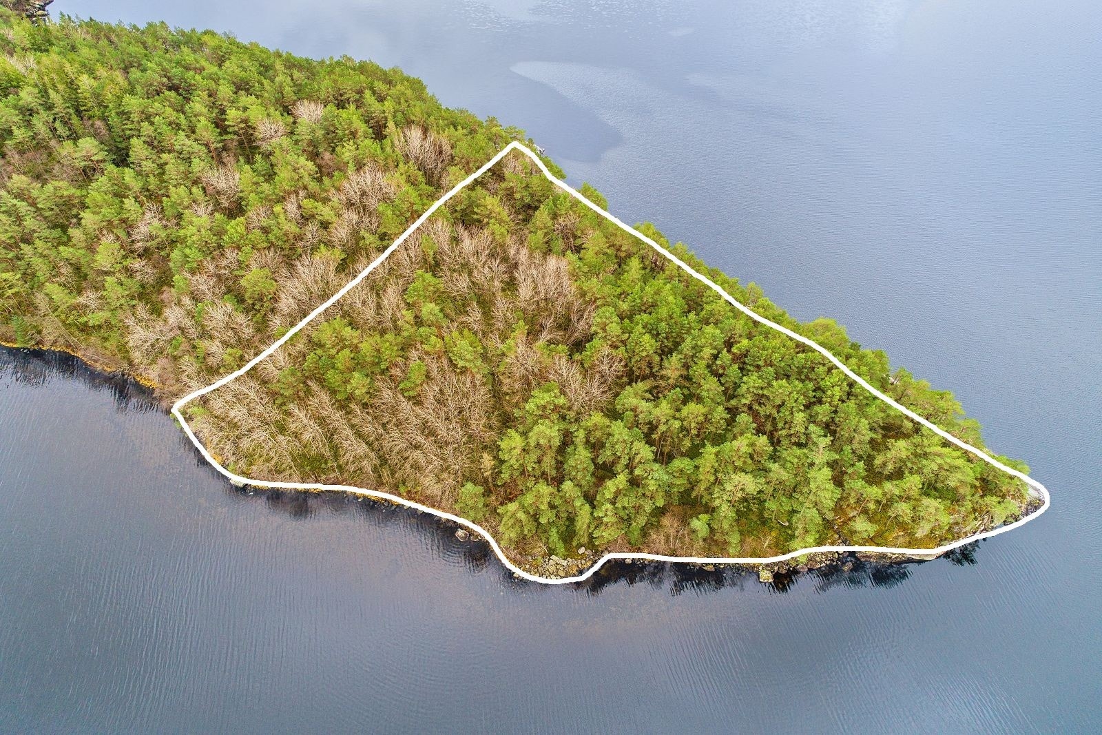 Teig 3. Galleribilde