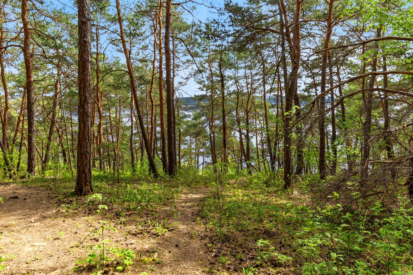 Fra eiendommen er det en sti som tar deg rett ned til sjøen Galleribilde