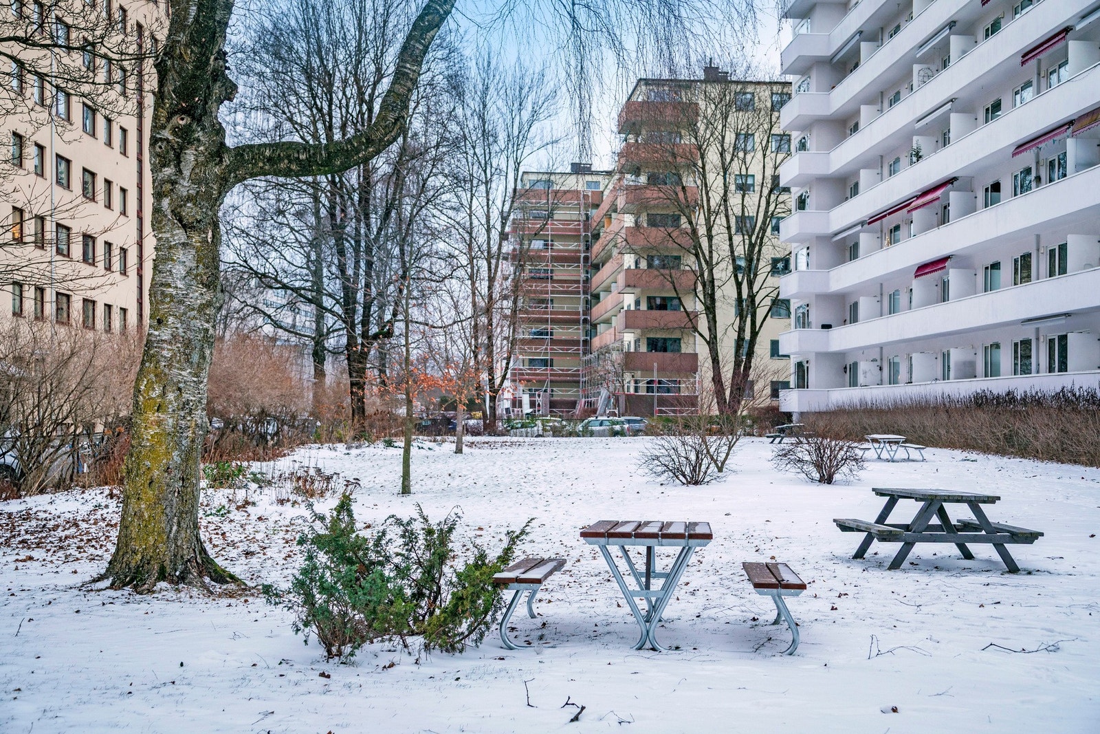 Det er mulighet for parkeringsplass etter ansiennitet. Galleribilde