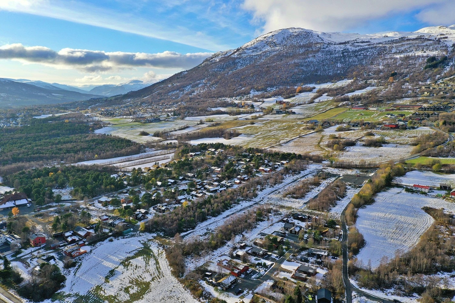 Området er åpent og luftig med god solgang Galleribilde