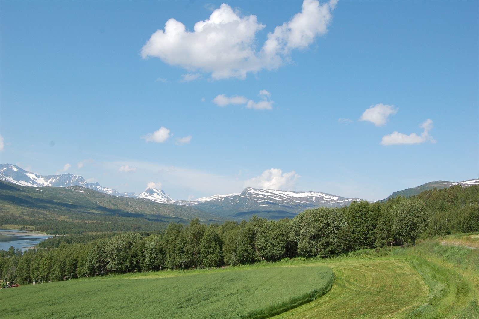 Et tureldorado året rundt Galleribilde