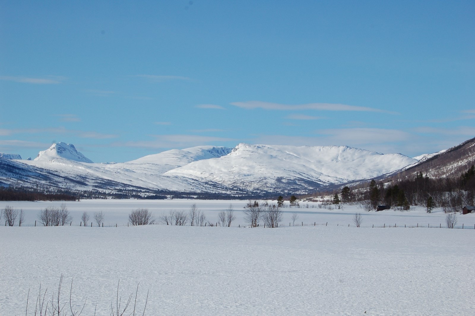 Vinter i Storlidalen Galleribilde