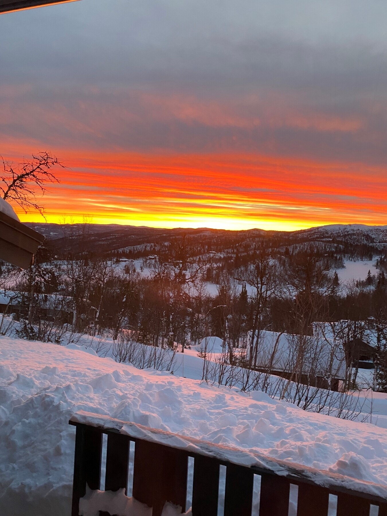 Selgers eget bilde Galleribilde