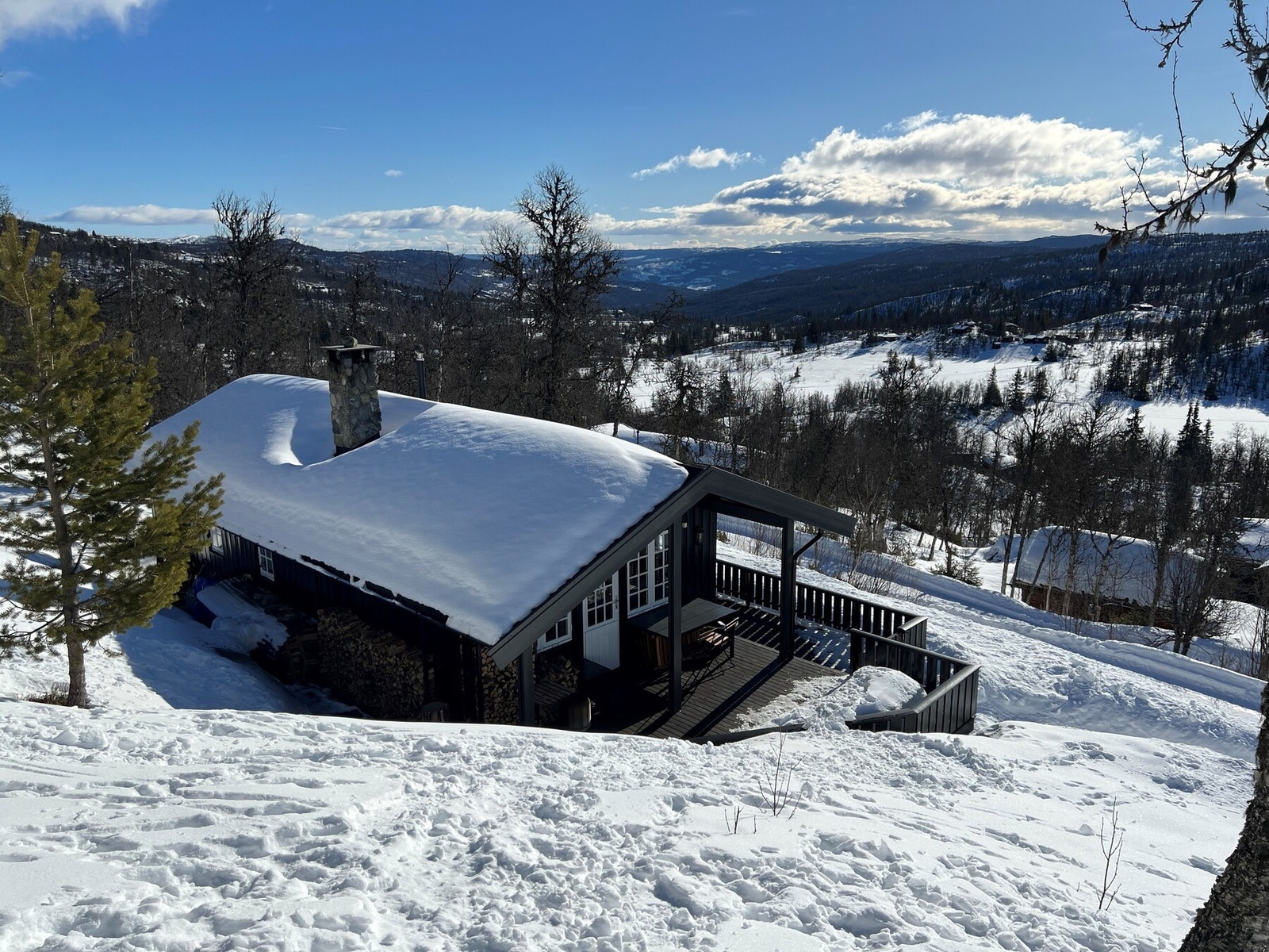 Selgers eget bilde Galleribilde