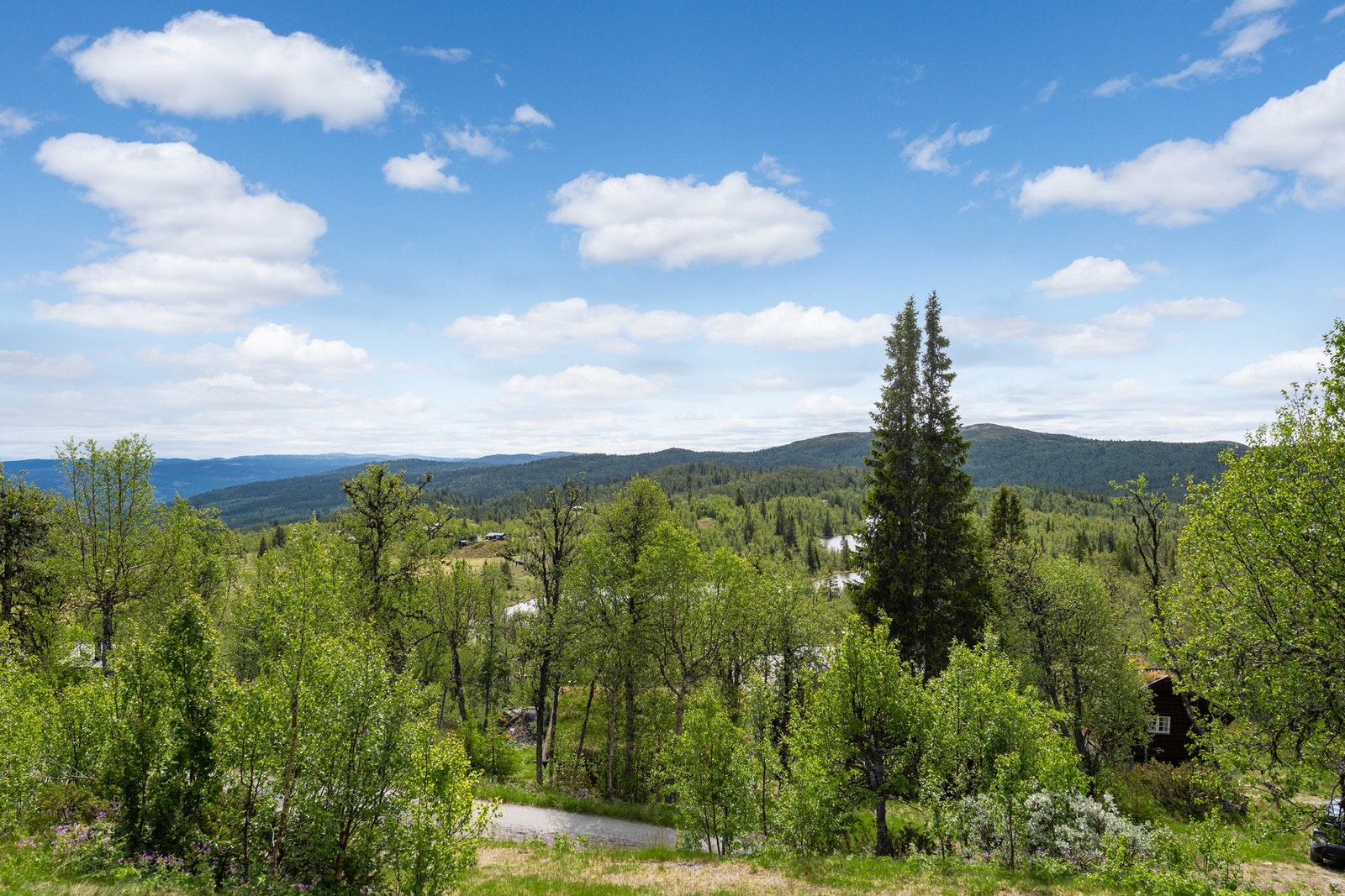 Det er helårsveg og innlagt strøm i hytta. Galleribilde
