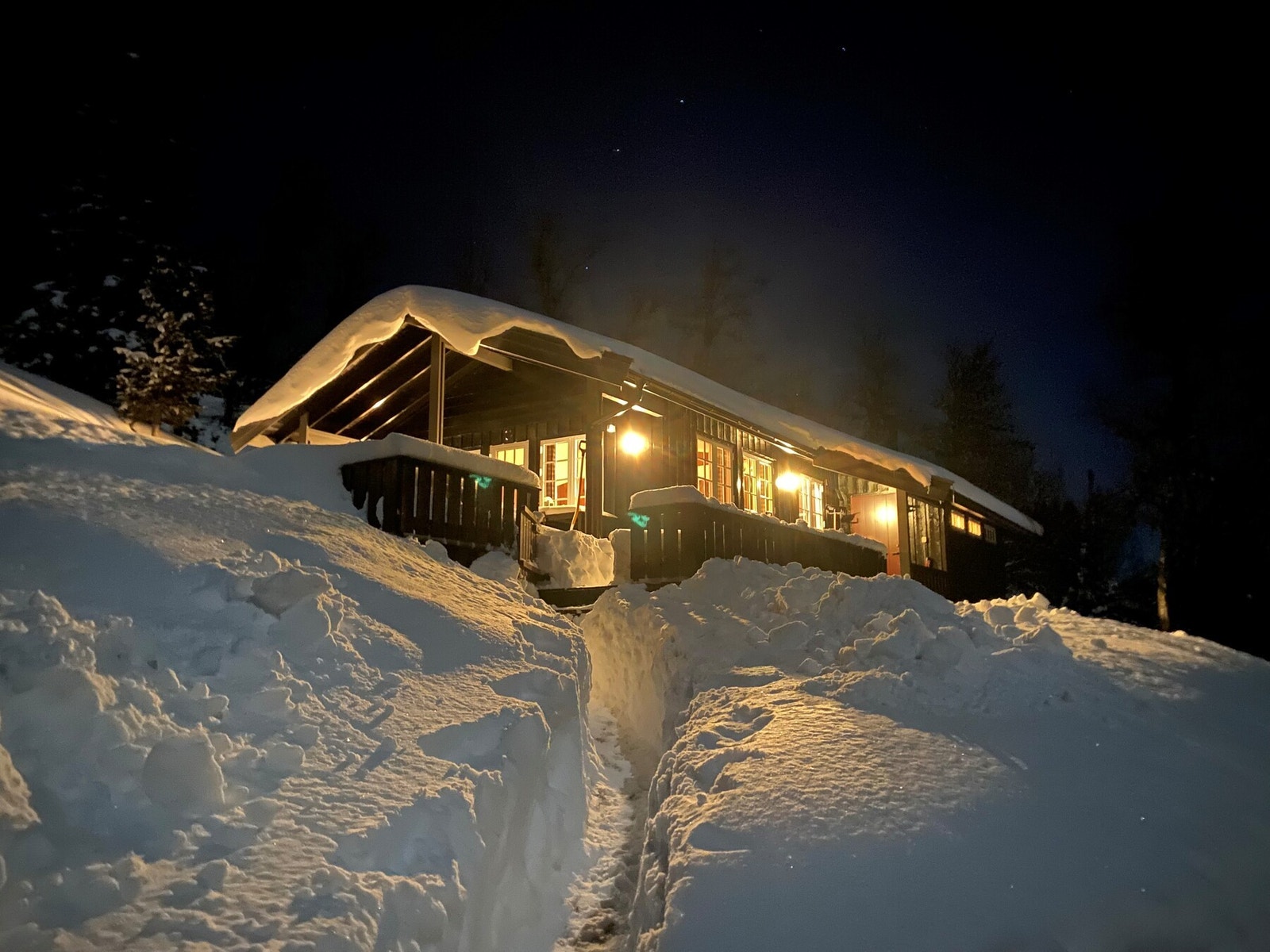 Selgers eget bilde Galleribilde