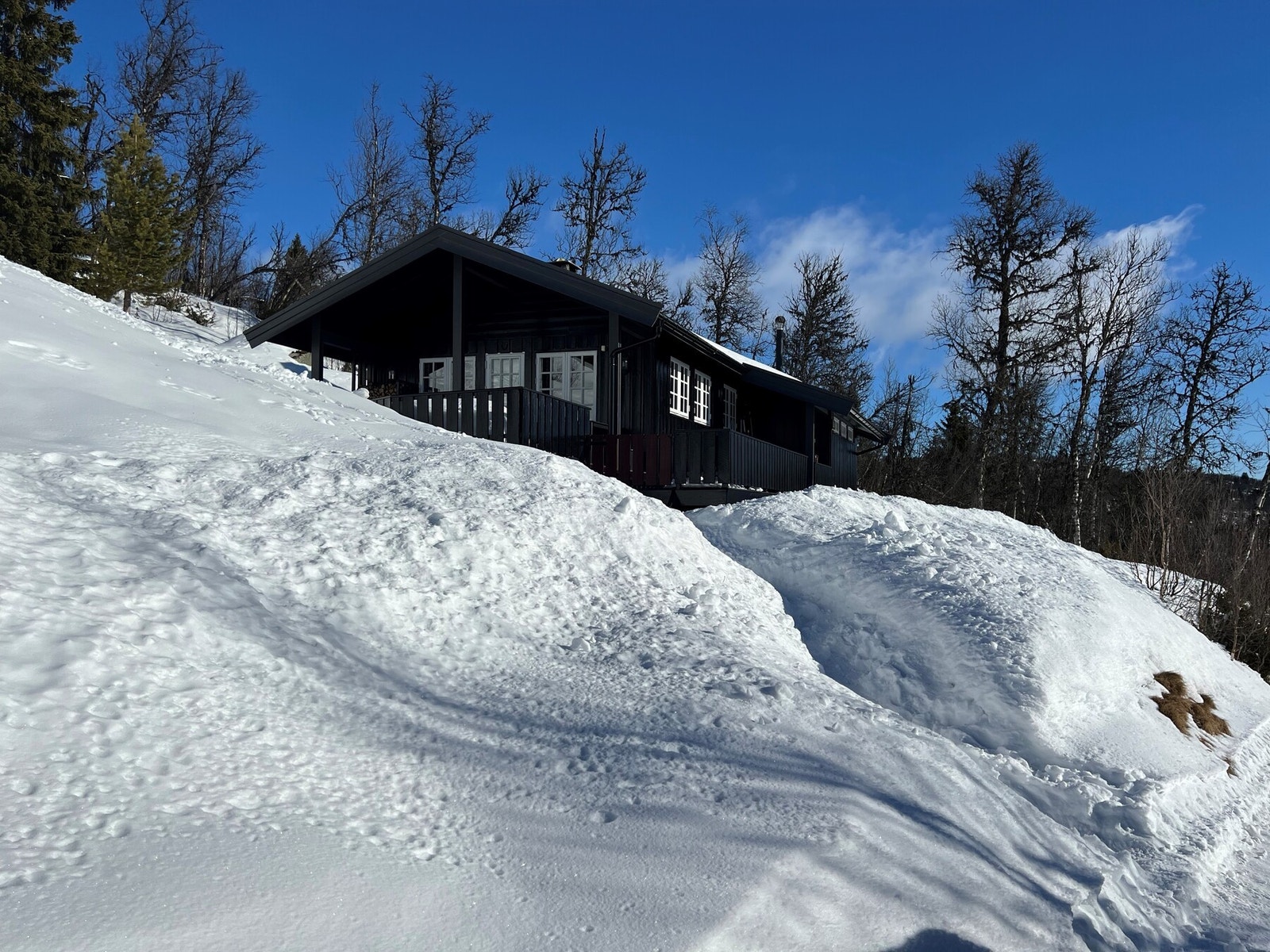 Selgers eget bilde Galleribilde