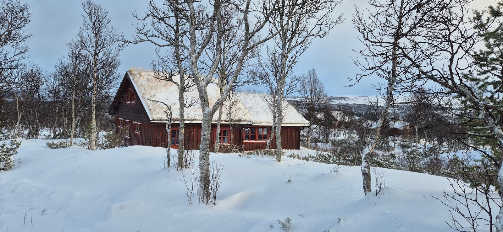 Bilde tatt av selger. Galleribilde