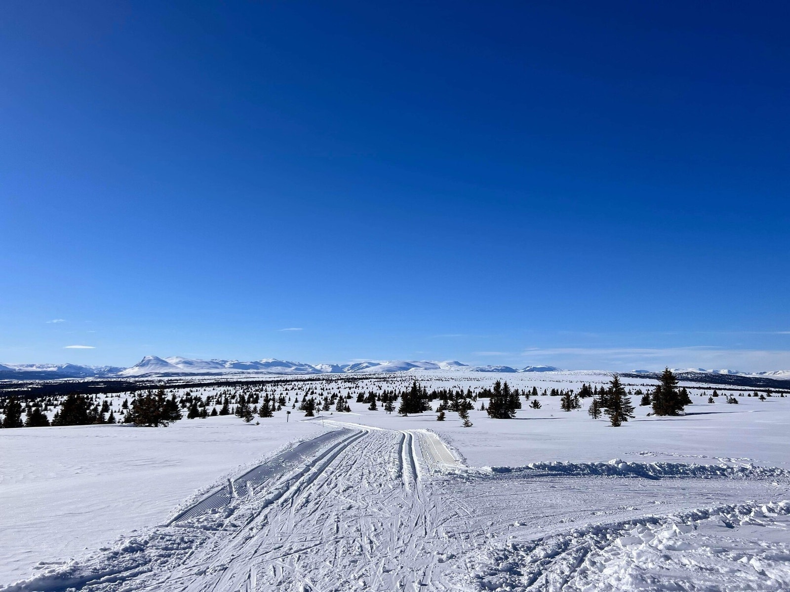 Om vinteren blir det kjørt opp flotte skiløyper hvor løypenettet kan by på flott landskap på begge sider av dalen. Skiløypene går ca. 500 meter fra hytta. Galleribilde