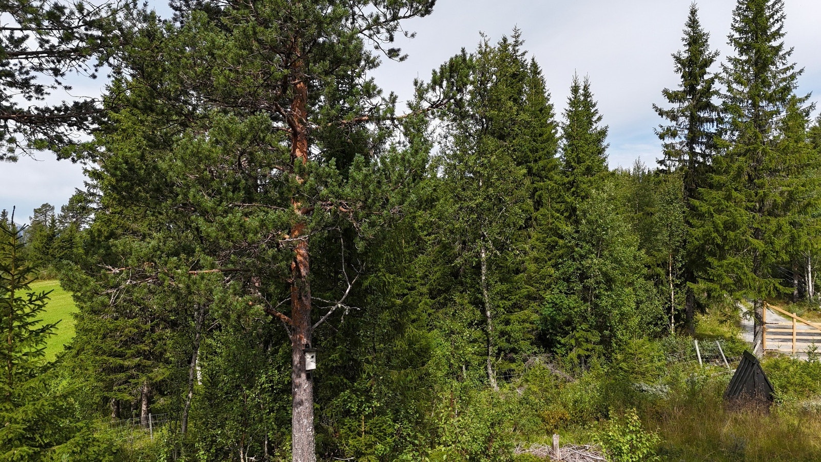 Eiendommen har priavt brønn med overbygg. Eier opplyser om at vannet ikke fryser på vinteren. Galleribilde