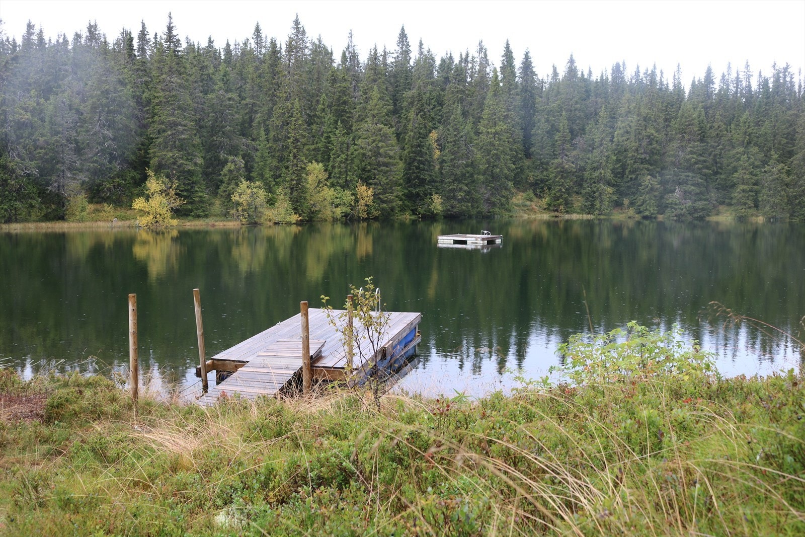 Sommerbilde tatt av selger fra badebryggen. Galleribilde
