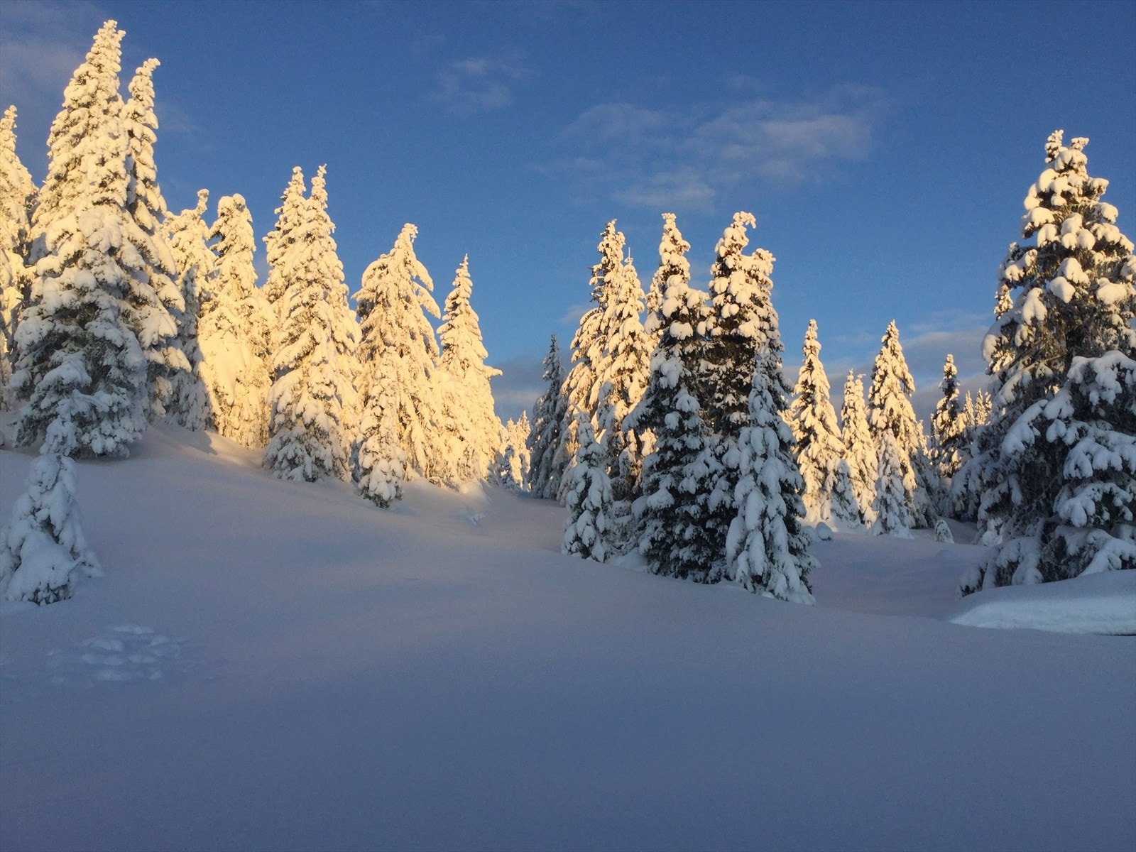 Vinterbilde tatt av selger fra området. Galleribilde