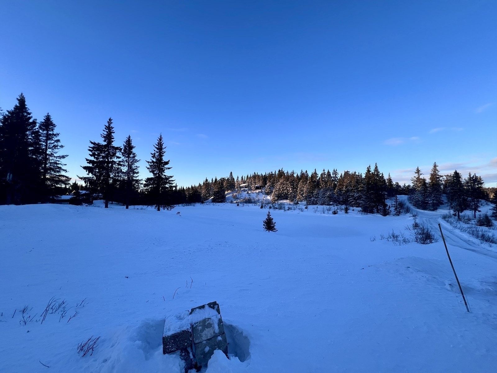 Vinterbilde tatt av eiendomsmegler 02.01.2026 Galleribilde