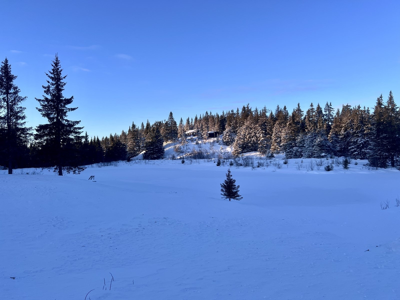 Vinterbilde tatt av eiendomsmegler 02.01.2026 Galleribilde