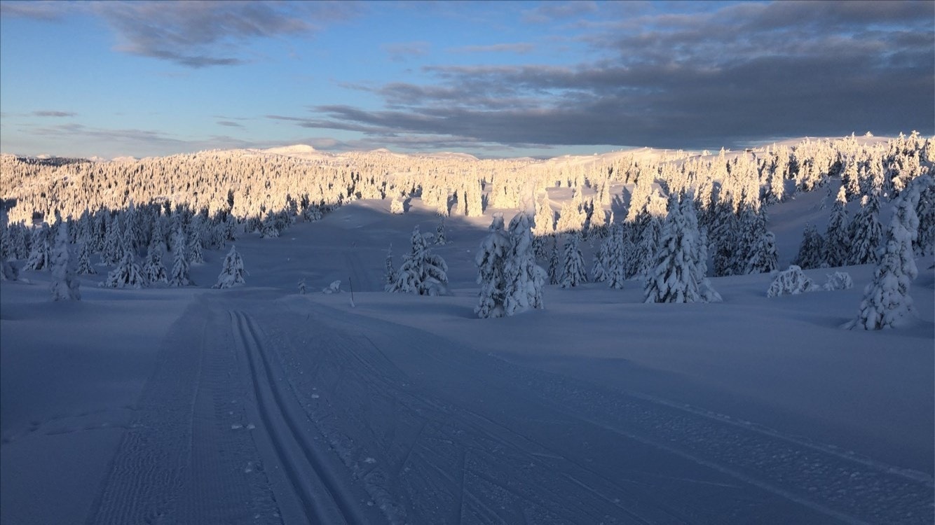 Vinterbilde tatt av selger fra området. Galleribilde