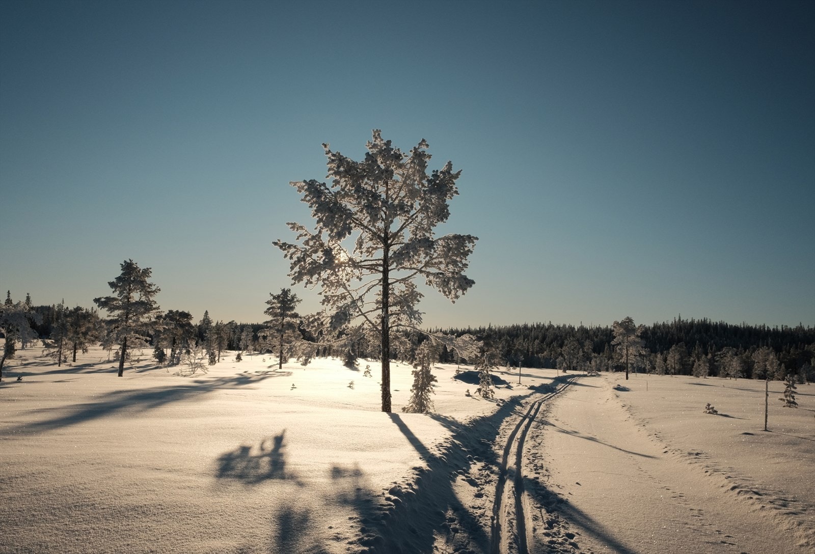 Lygna er et eldorado for friluftentusiasten! Galleribilde