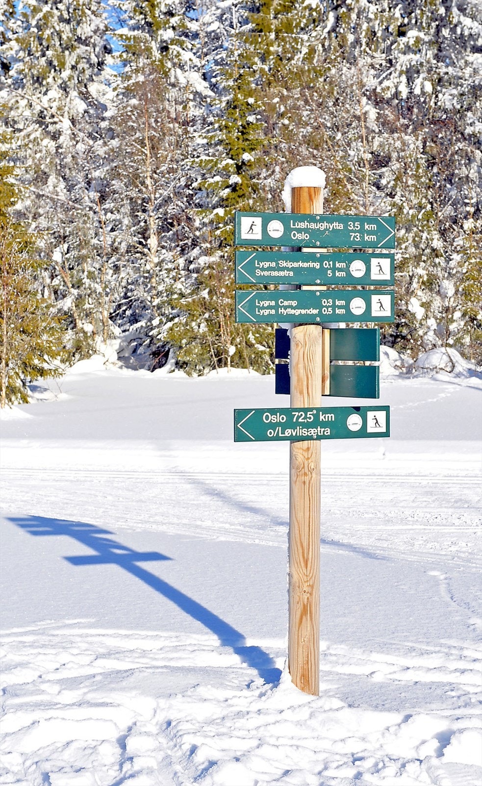 Løypene, totalt ca. 190 km, som kjøres av Øståsen Skiløyper, er kjent for sin gode kvalitet og preparering. Traseene, som er brede, går i et variert og kupert terreng. De aller fleste løyper er kjørt med tanke på både klassisk og skøyting . Galleribilde