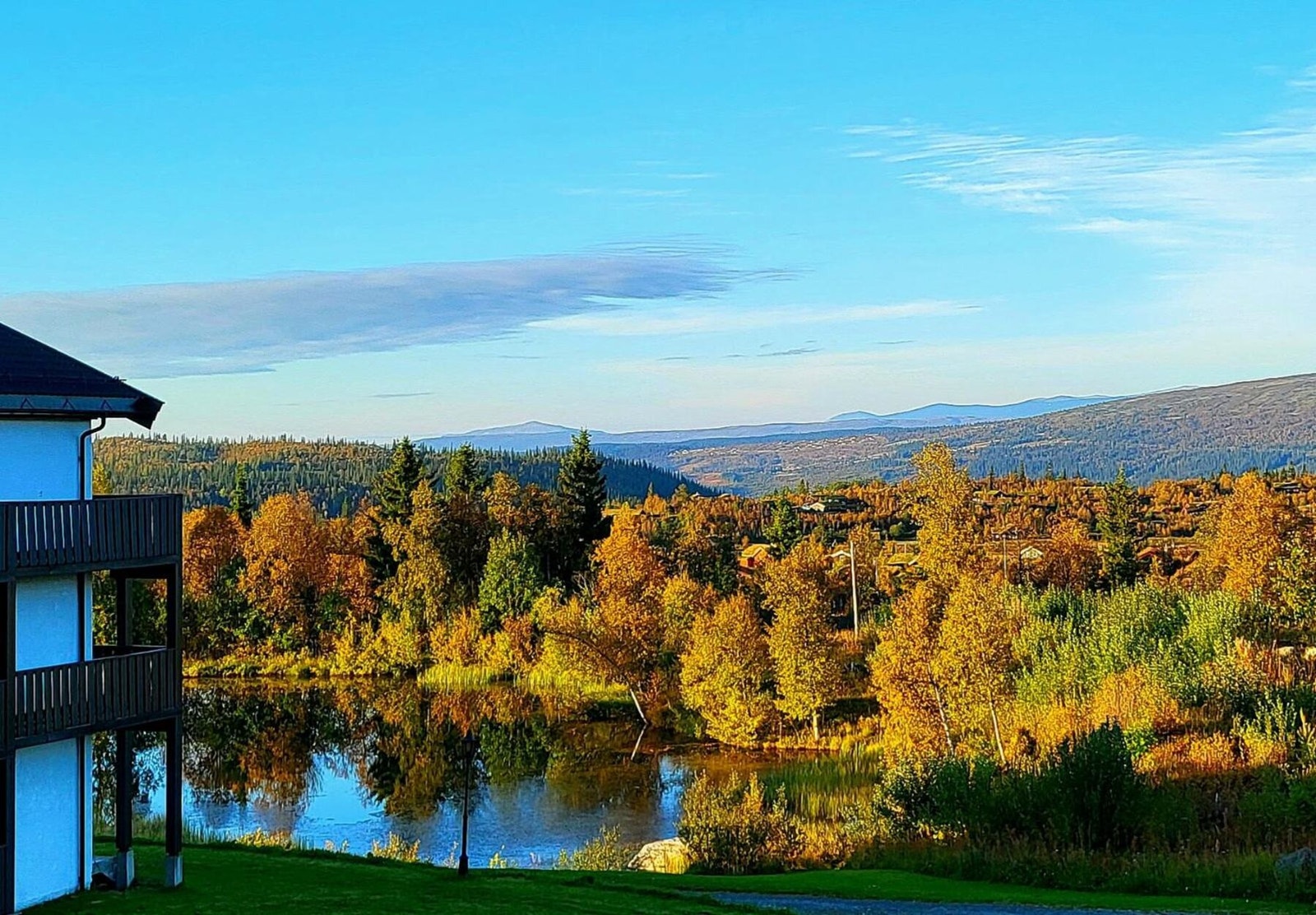 Fri utsikt til høstens fargeprakt! Galleribilde