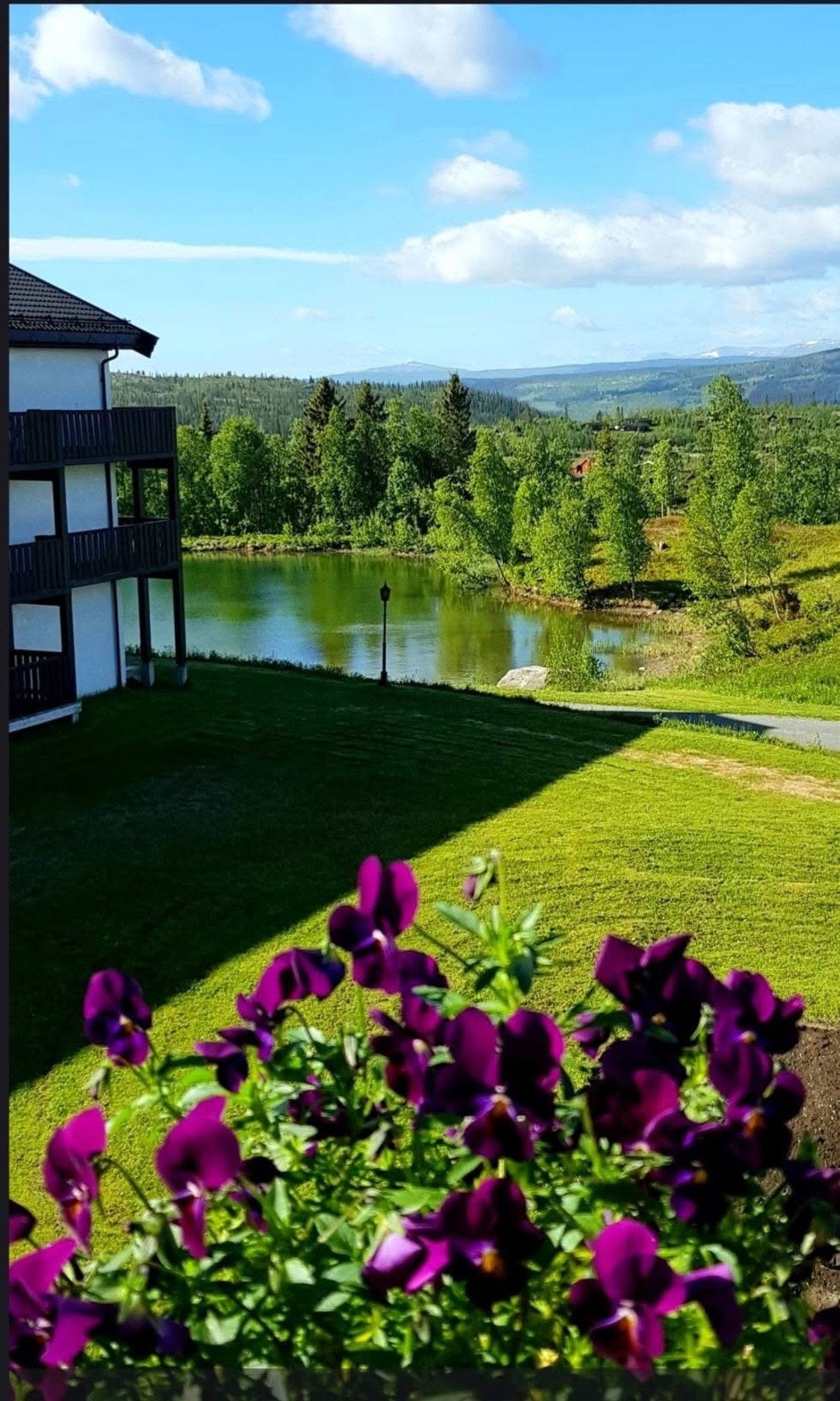 Fin utsikt til tjernet både fra stua og terrassen. Området rundt tjernet er en del av den store naturparken som tilhører sameiet. Galleribilde