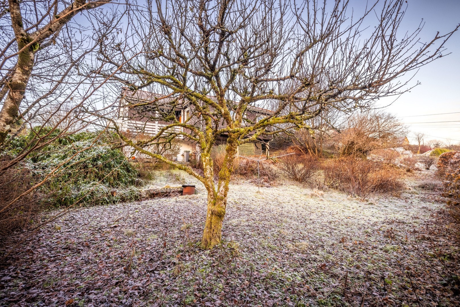 Vil du lage din egen frukthage og dyrking ellers? Da er dette en flott eiendom for deg! Galleribilde