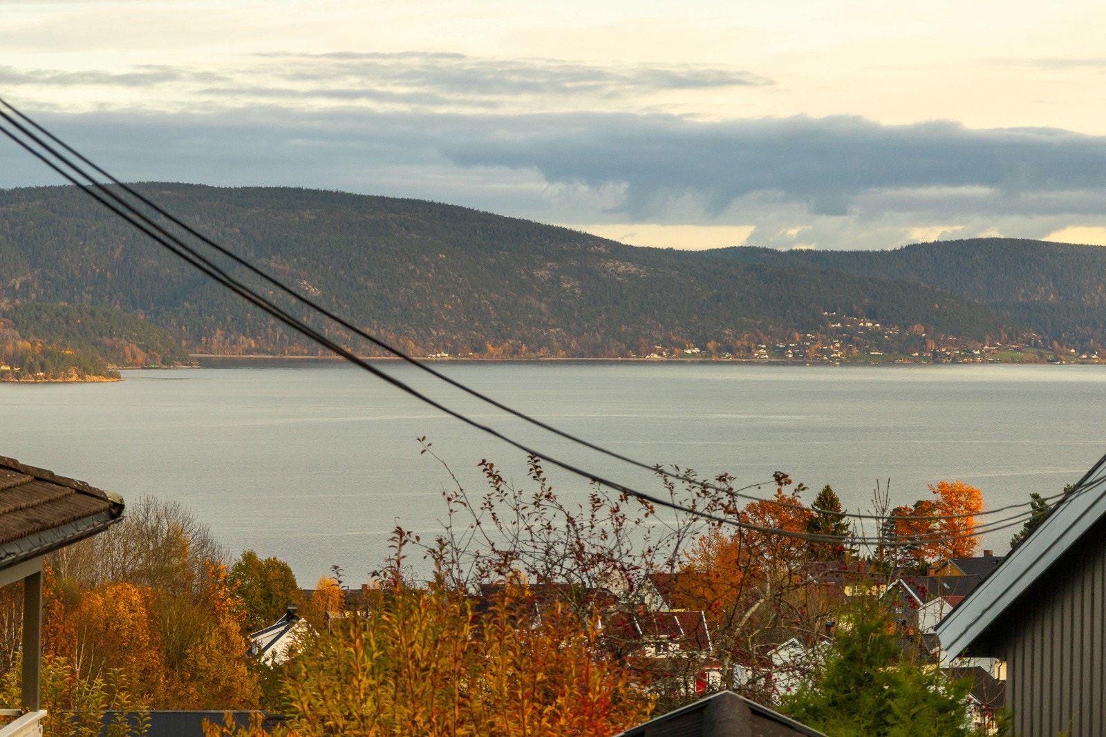 Utsikt. Galleribilde