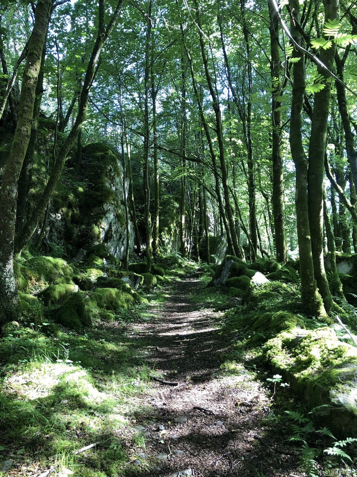 Man er omringet av flott natur og det er kort vei til fiske- og bademuligheter. Galleribilde