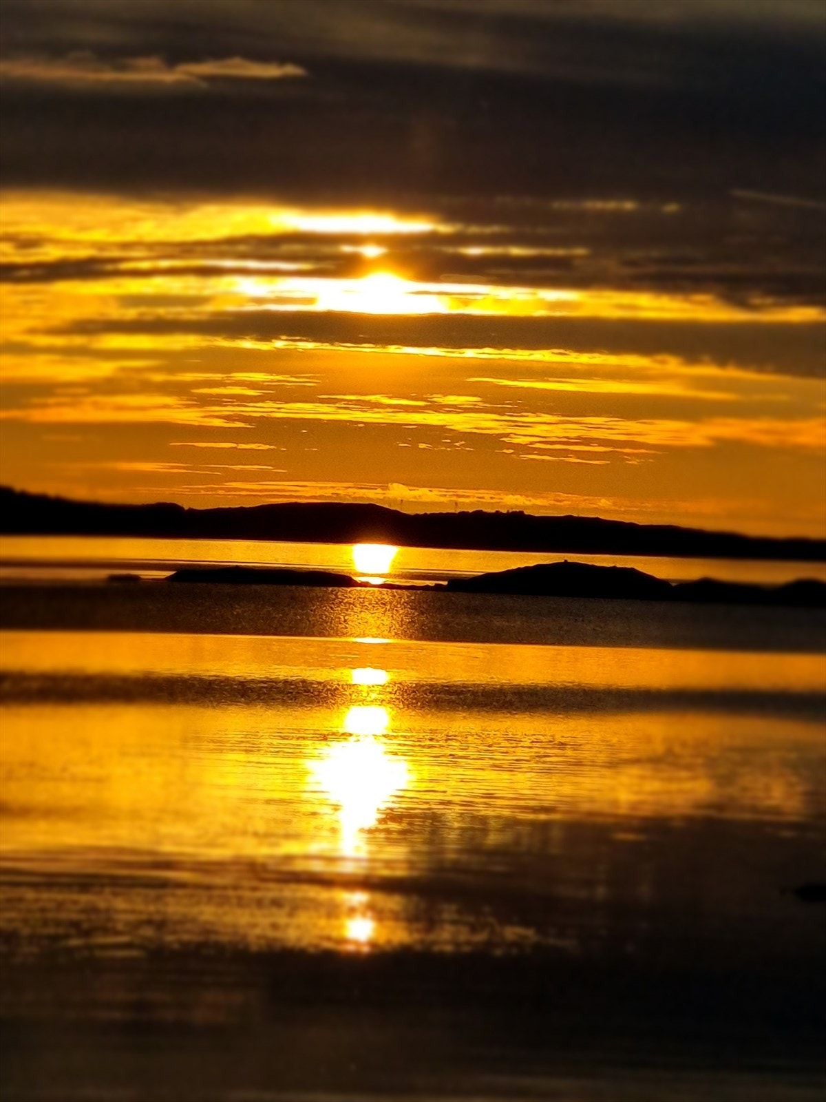 Sjåhaugvegen Galleribilde