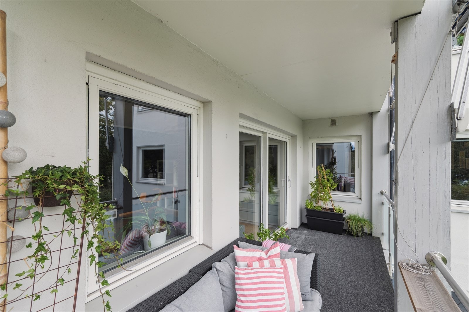 Den vestvendte plasseringen gjør det enkelt å få plantene til å trives Galleribilde