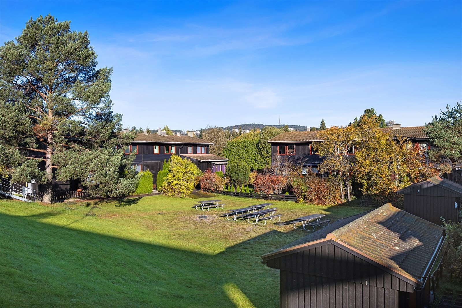 Nærområdet. Galleribilde