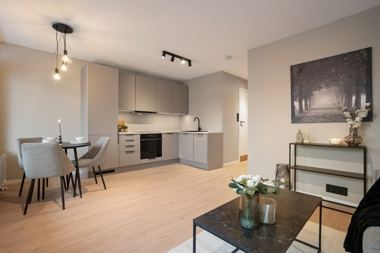 God planløsning som inneholder entré, stue/kjøkken i åpen løsning, bad og sovealkove. Galleribilde