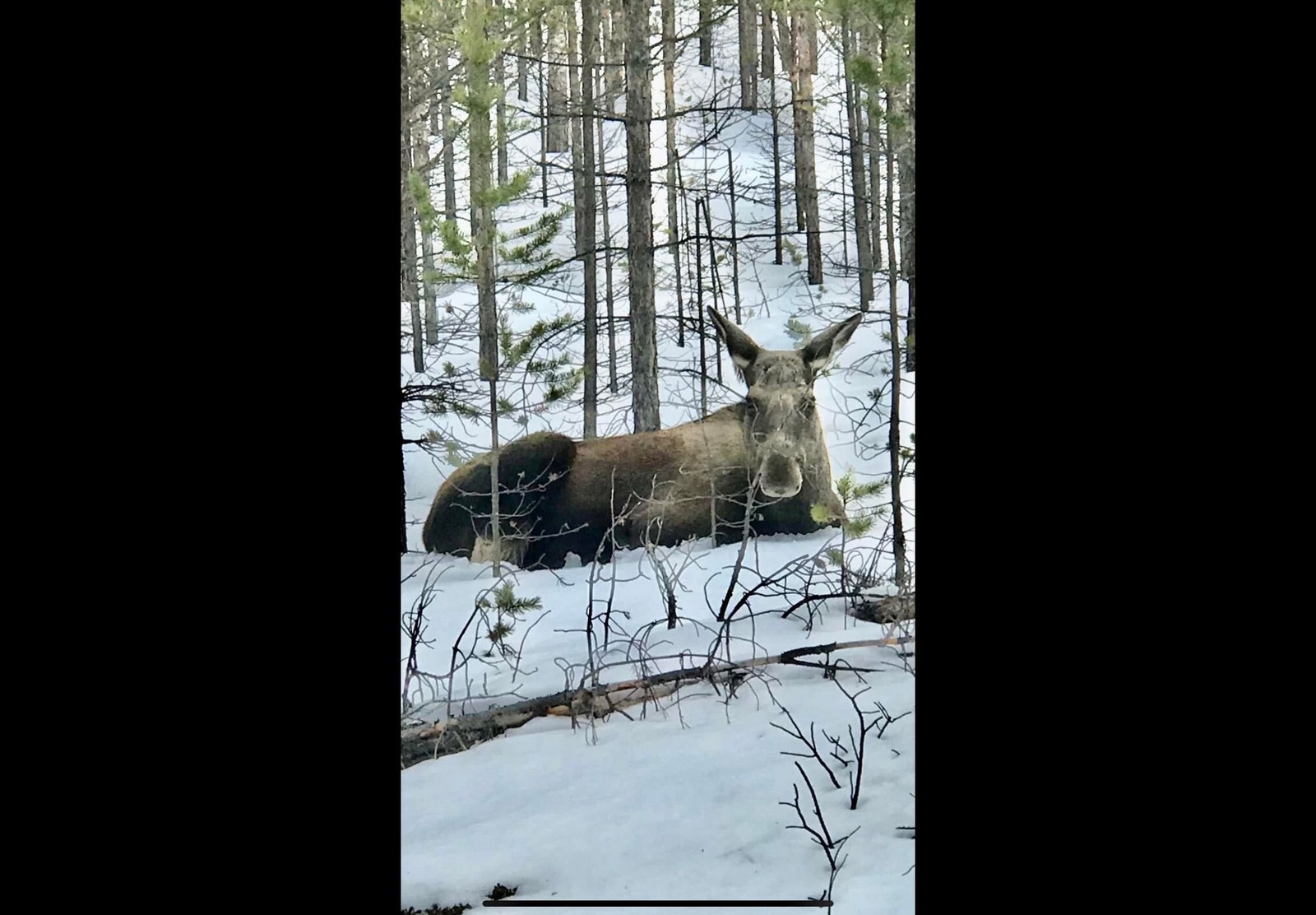 3 meter bak hytta Galleribilde