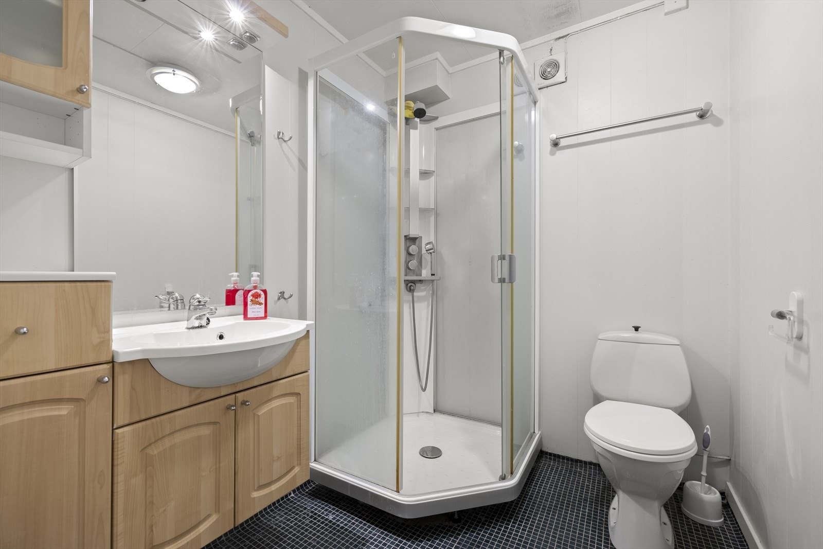 Badet i kjelleren er utstyrt med servant, toalett og dusjkabinett. Galleribilde