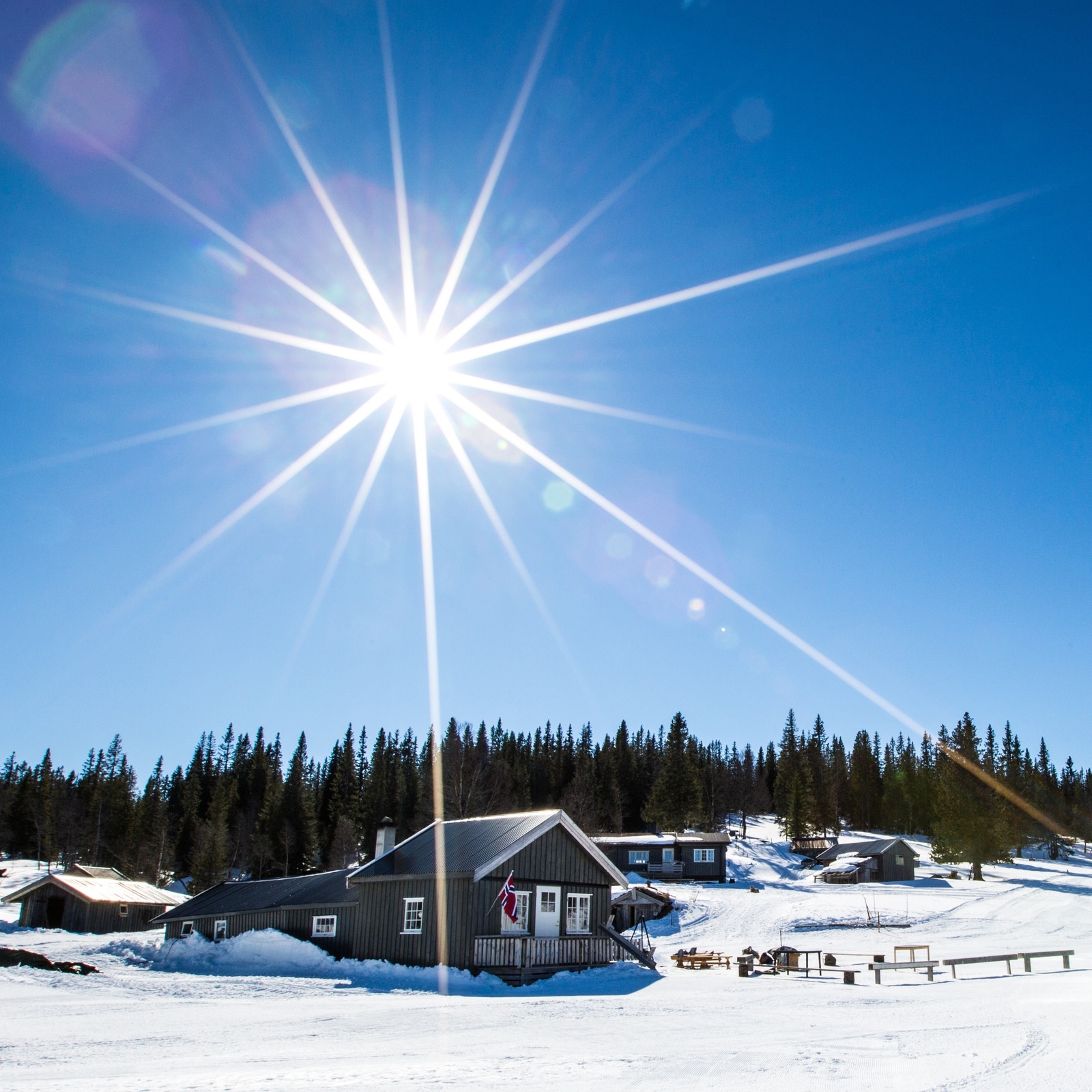 En fin dagstur til Litjfunnsjøvollen Galleribilde