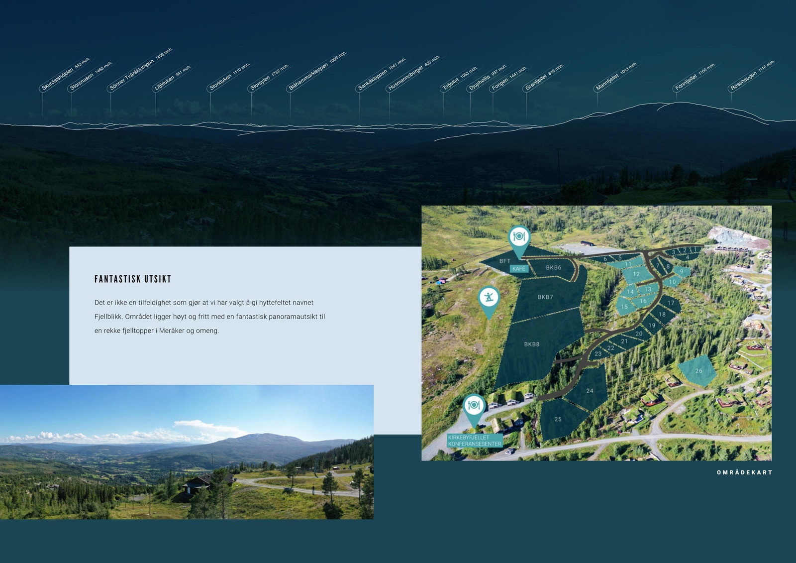 Fjellblikk Galleribilde