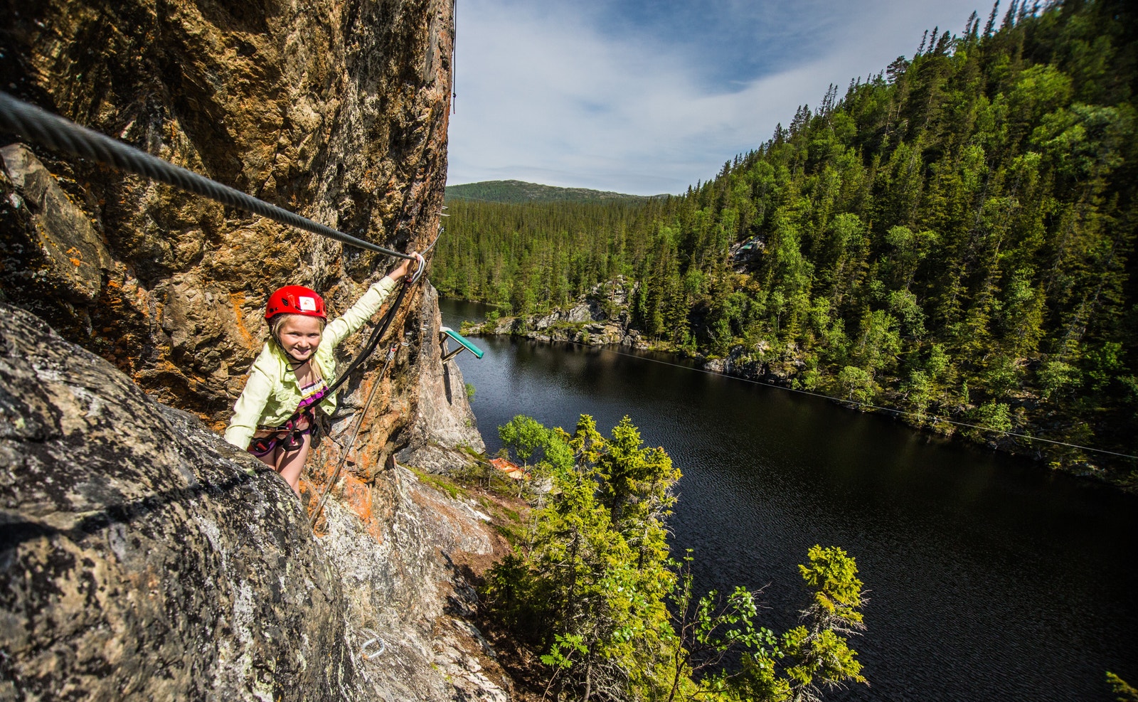 Rypetoppen Galleribilde
