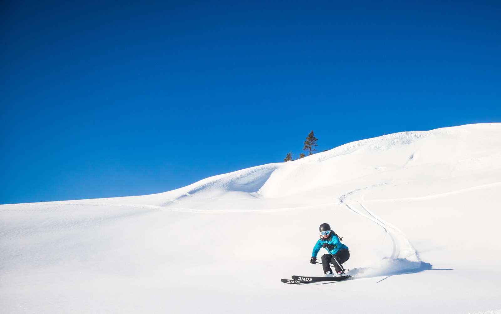 Frikjøring Galleribilde