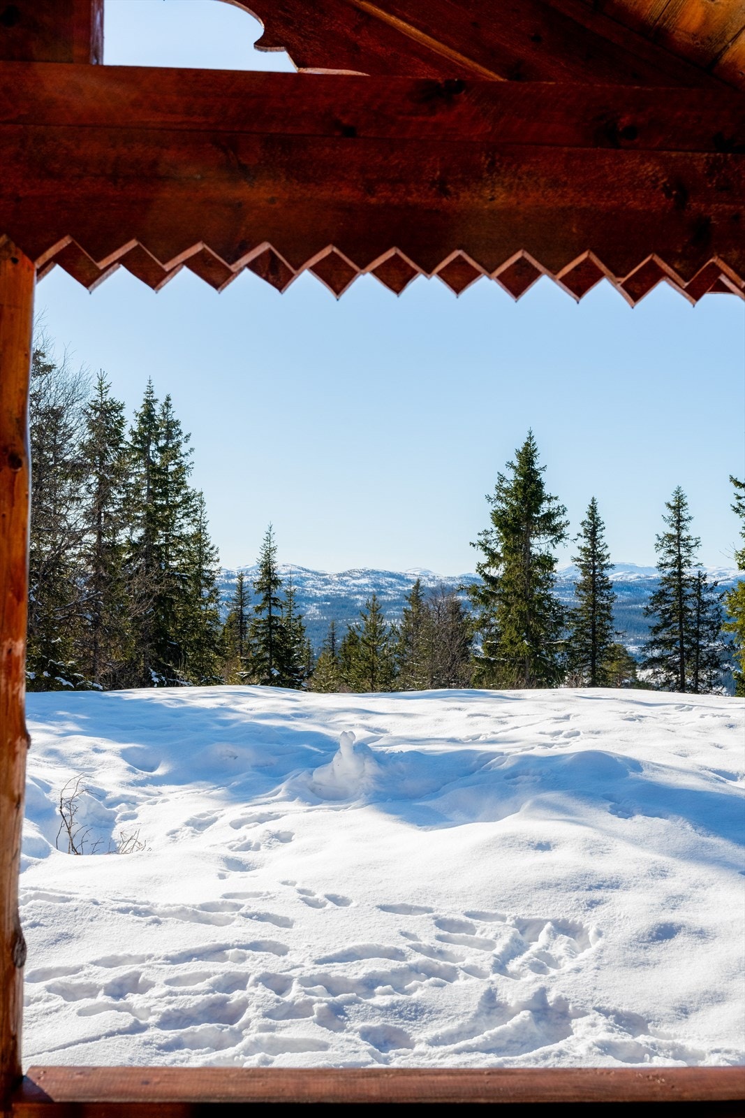 Det varierte terrenget innbyr til fine naturopplevelser og flott turterreng som egner seg godt hele året. Galleribilde