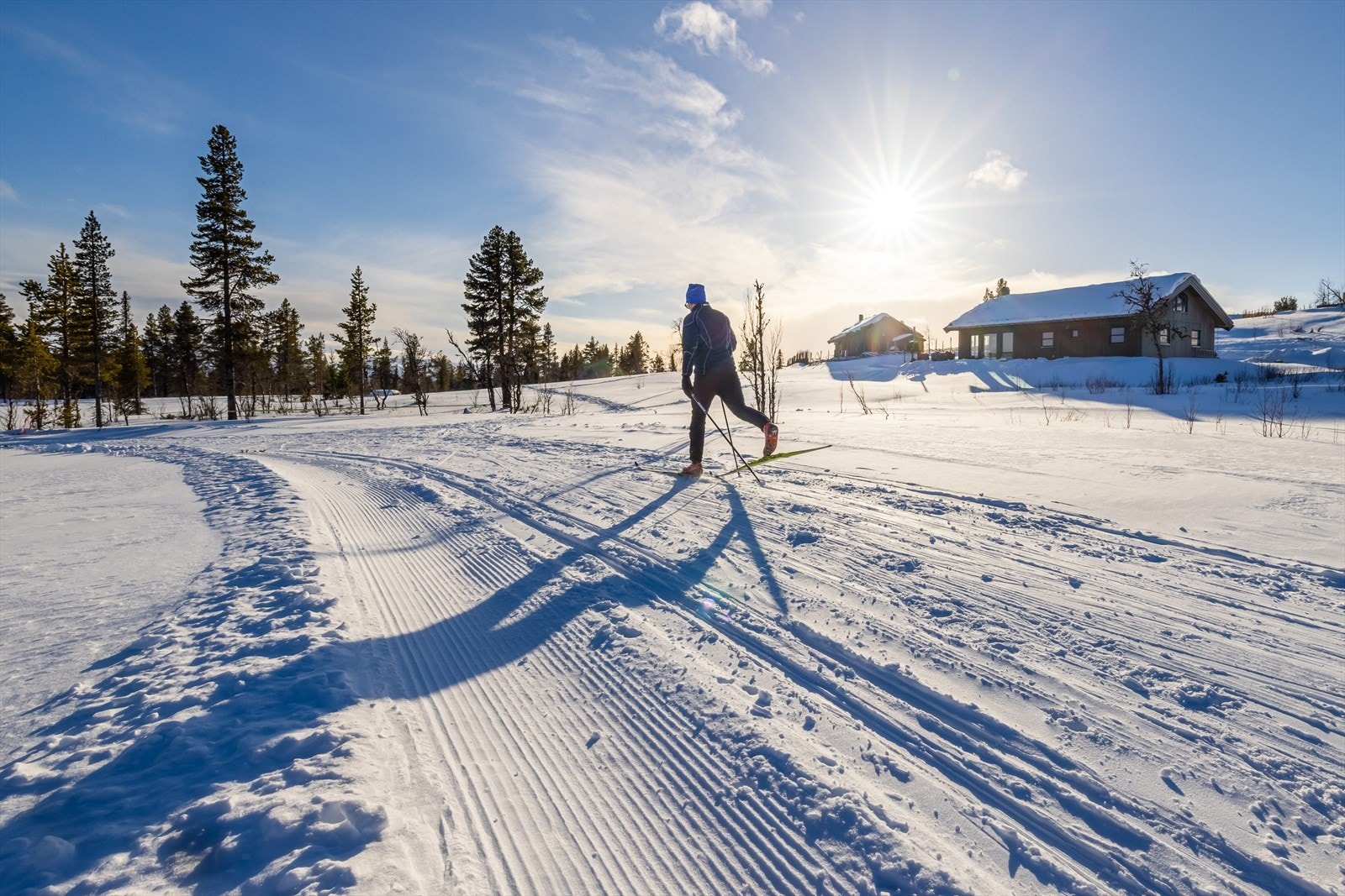Skiløypa svinger rett forbi Galleribilde