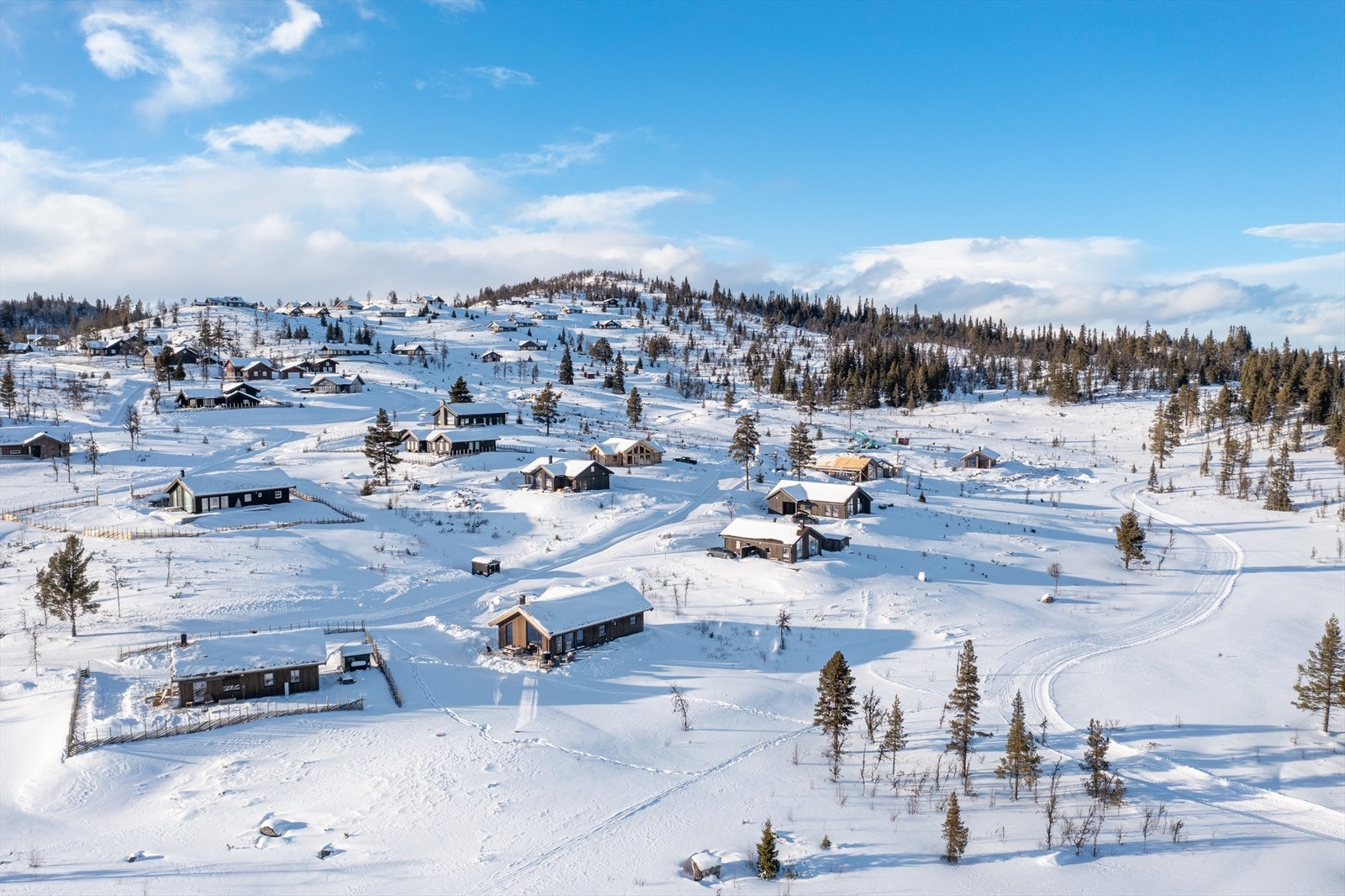 Trivelig hyttefelt med mye luft og solrik helling Galleribilde