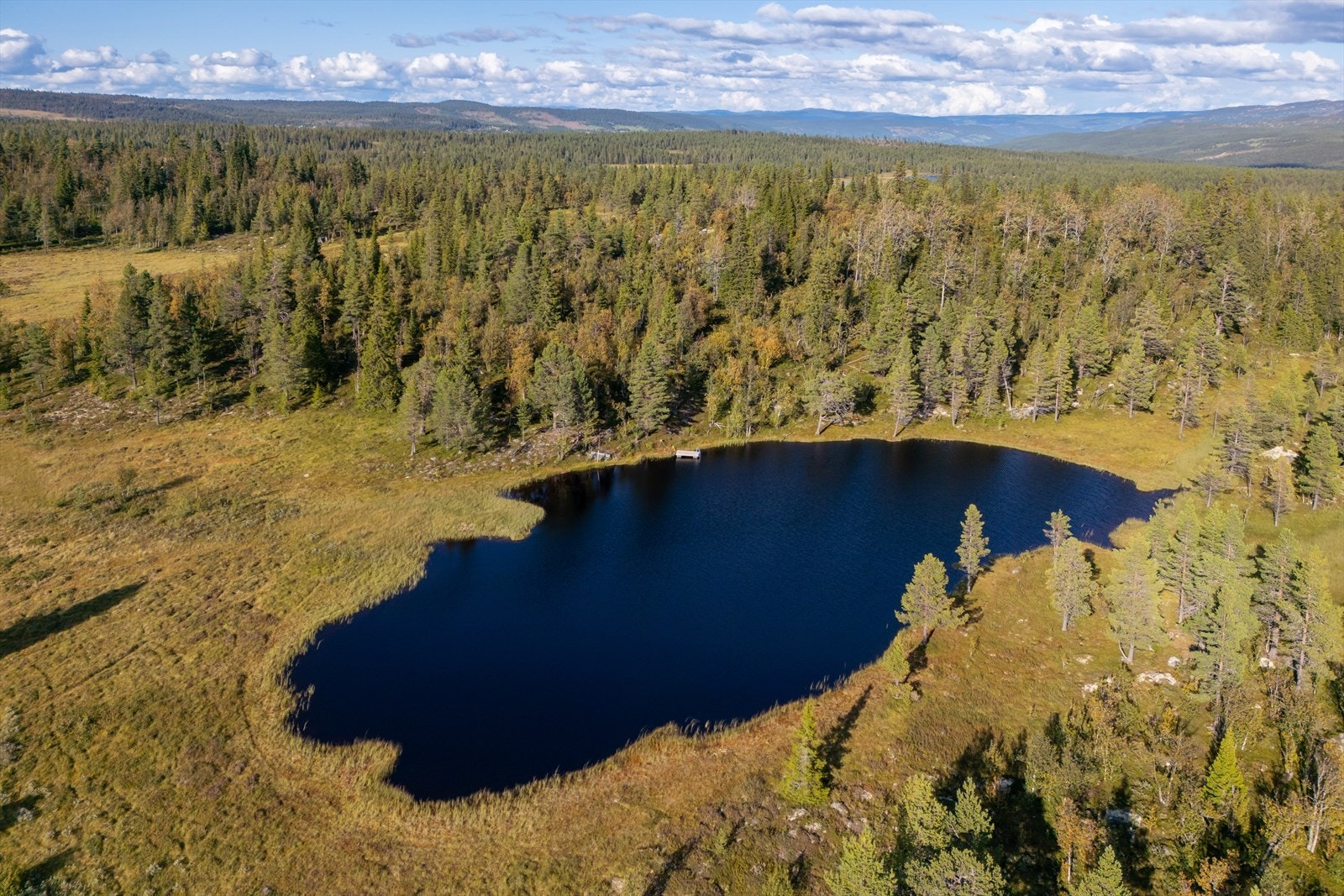 Idyllisk lite tjern rett nedenfor hytta med badebrygge. Perfekt fiskeplass for de små Galleribilde