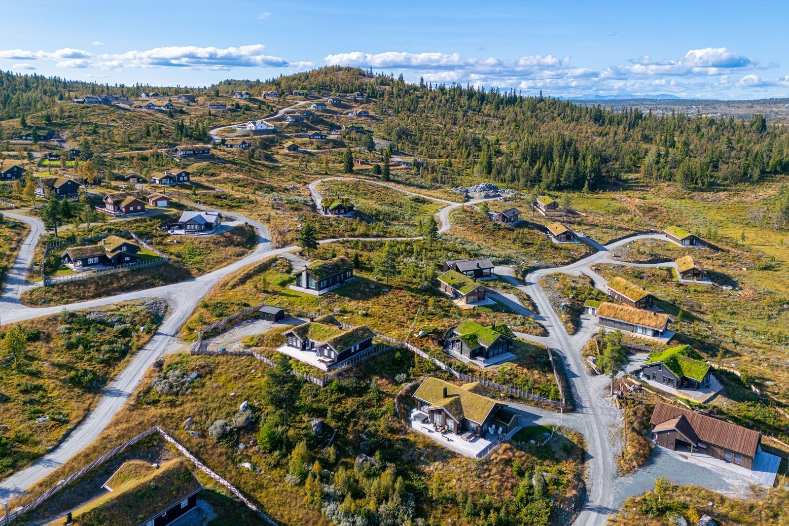 Hyggelig hyttefelt med utallinge turmuligheter rett utenfor døren. Galleribilde