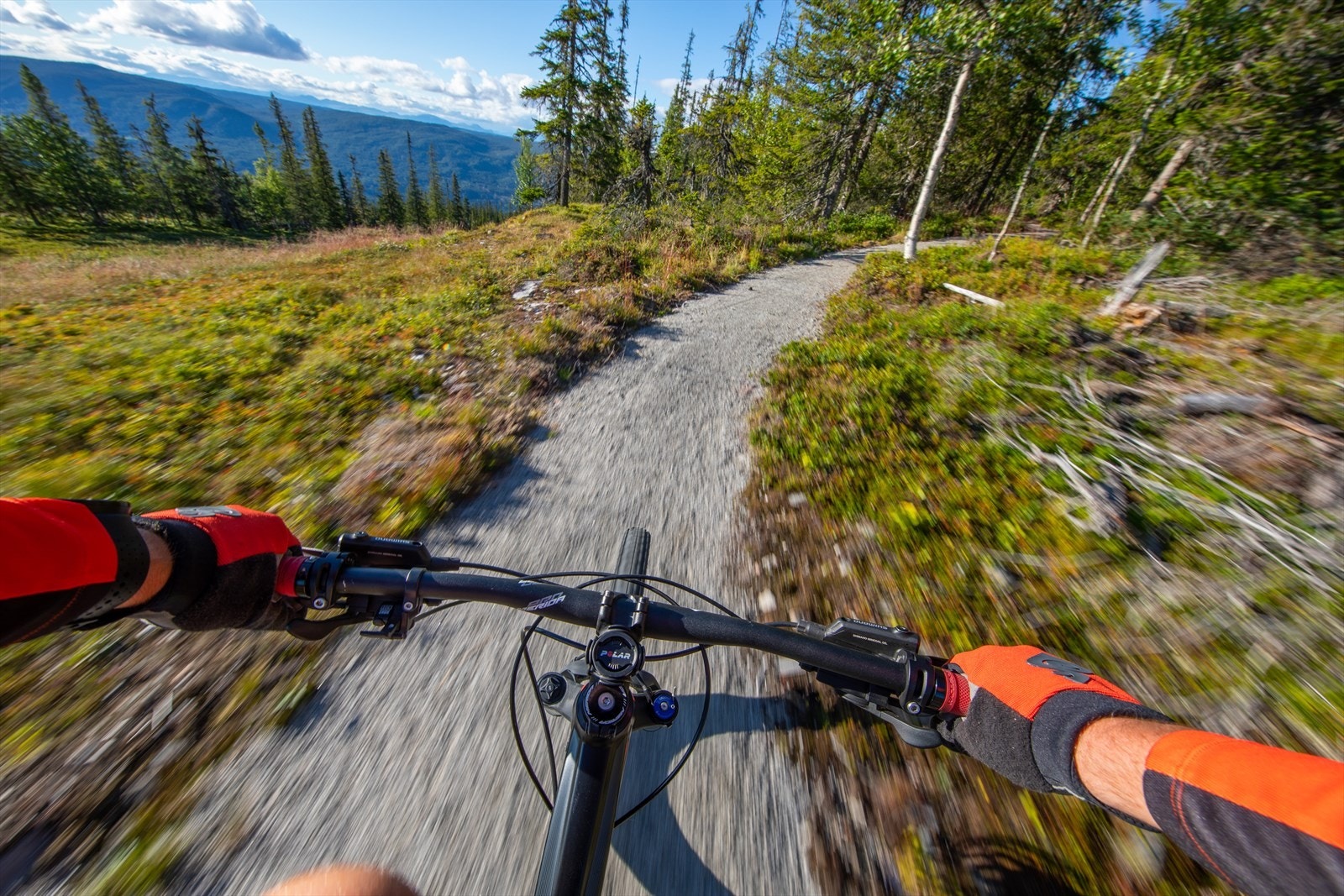 Nesbyen er en av norges desidert beste sykkeldestinasjoner.jpg Galleribilde
