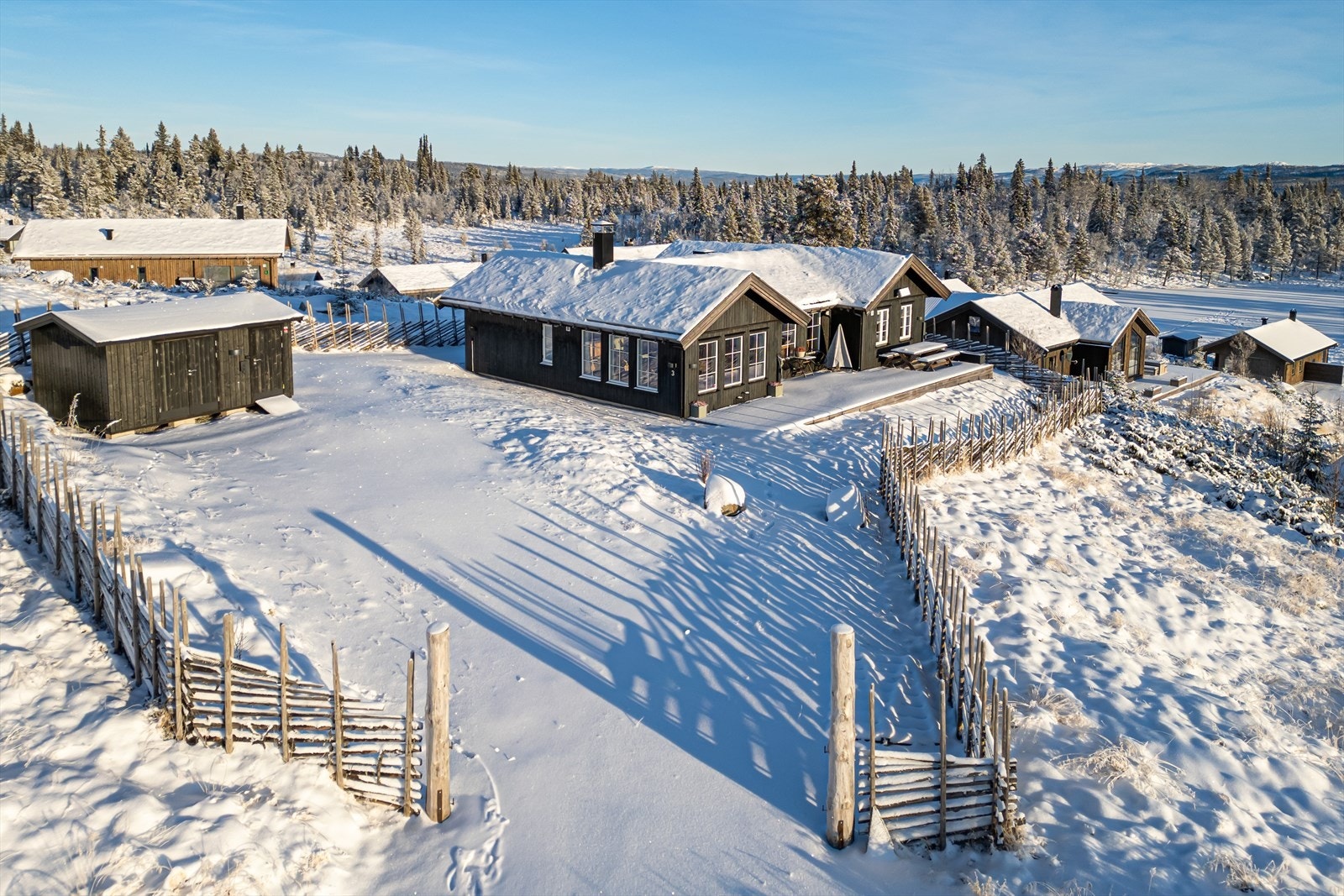 Omkranset av en vakker skigard Galleribilde