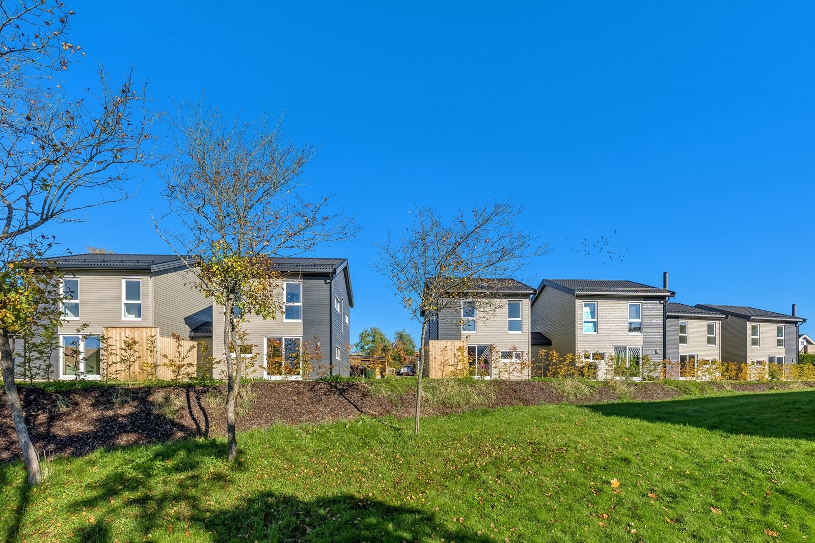 objpict_332705346731420_0.jpg Galleribilde