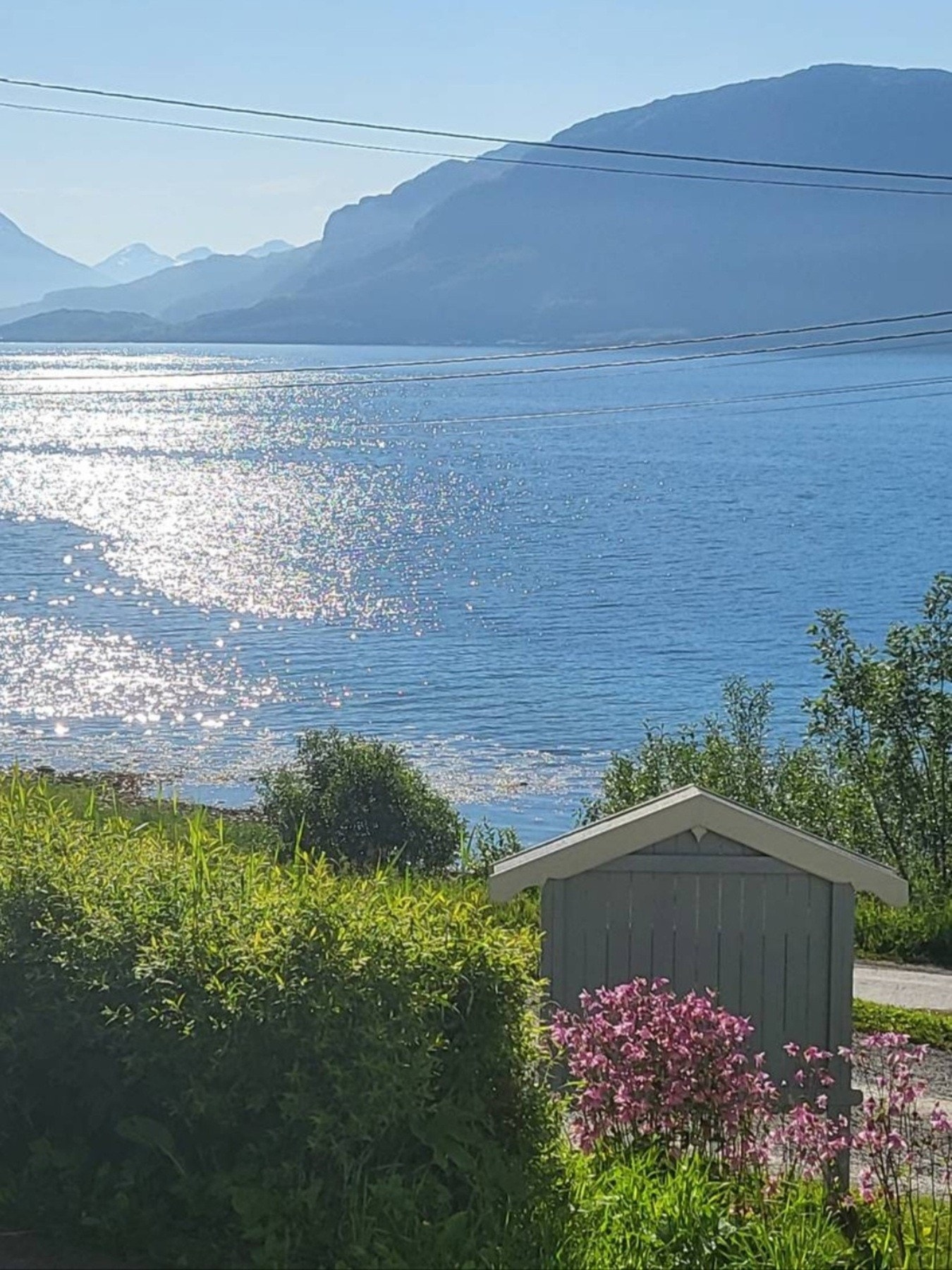 Selgers eget bilde Galleribilde