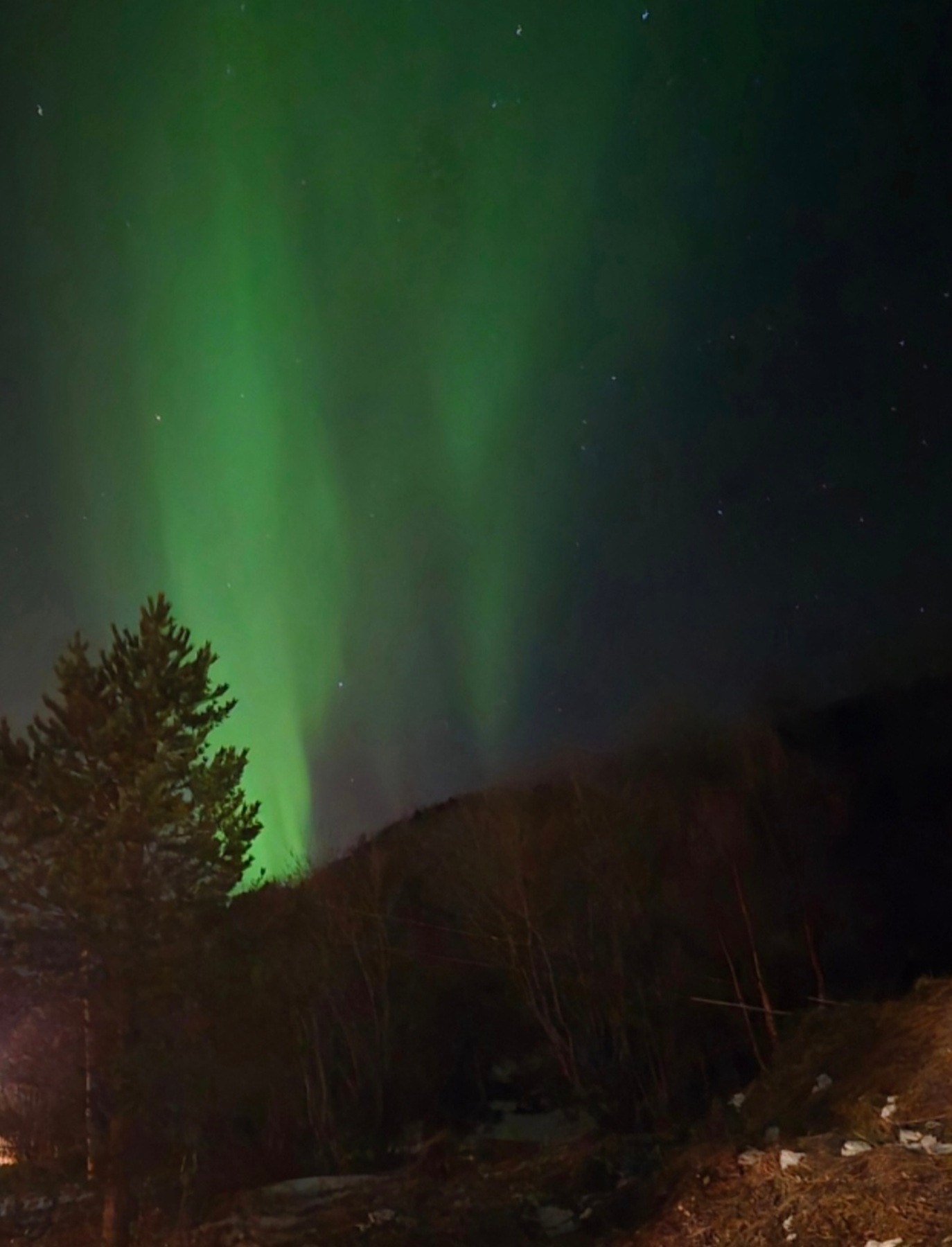 Selgers eget bilde Galleribilde