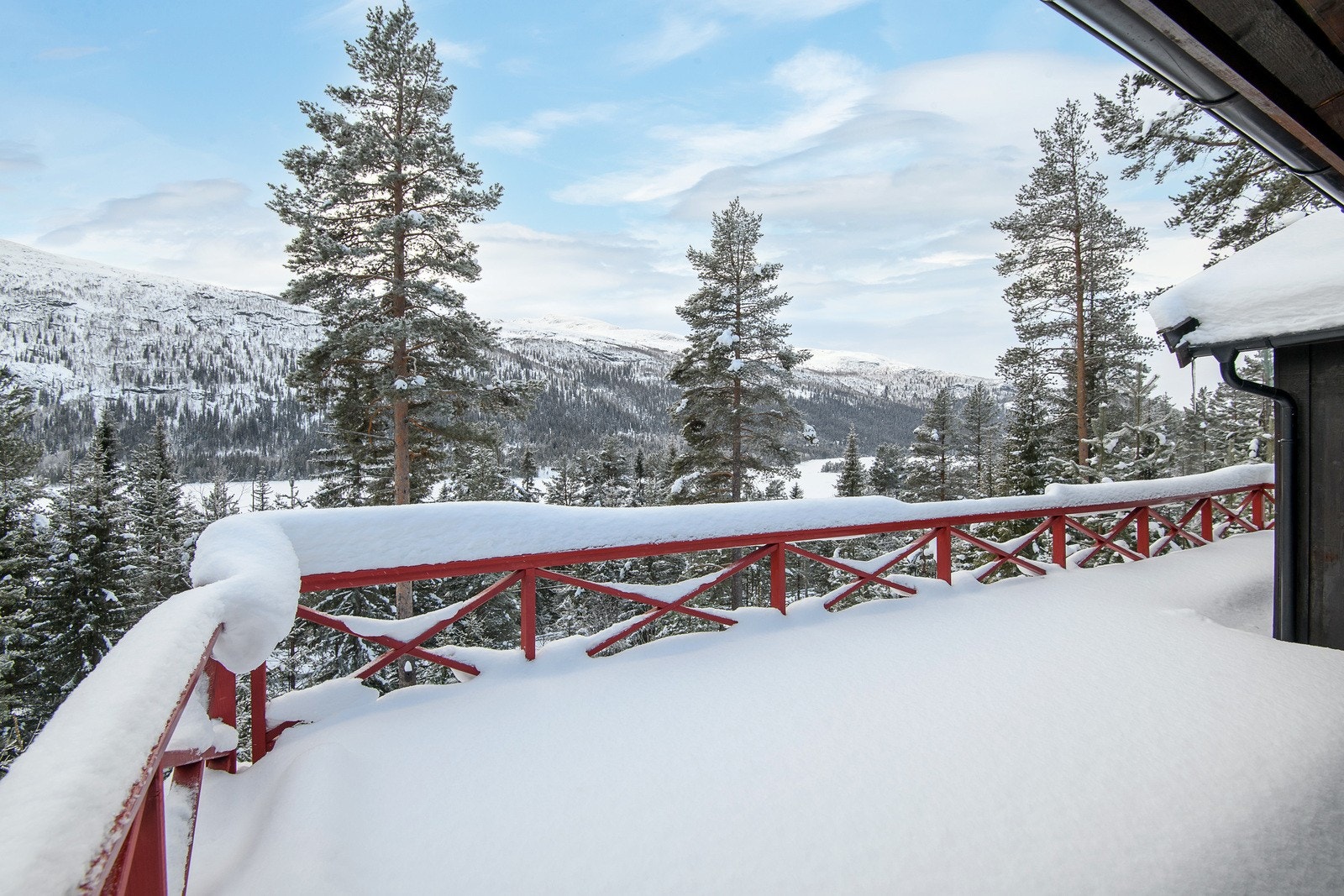 Romslig terrasse med utgang fra stue og videre tilgang til terreng. Galleribilde