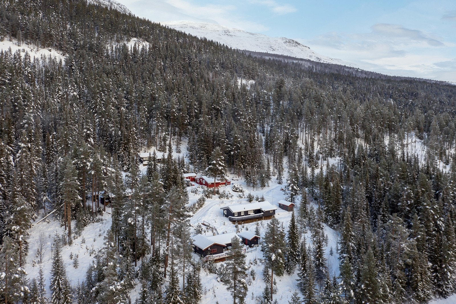 Området byr på flotte naturopplevelser for deg og hele familien med et flott turterreng som passer for de aller fleste. Galleribilde