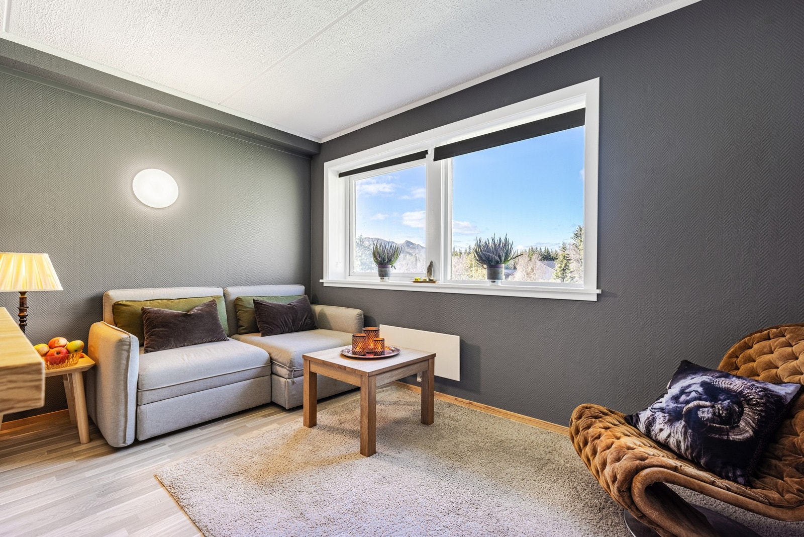 Stue med store vindusflater Galleribilde